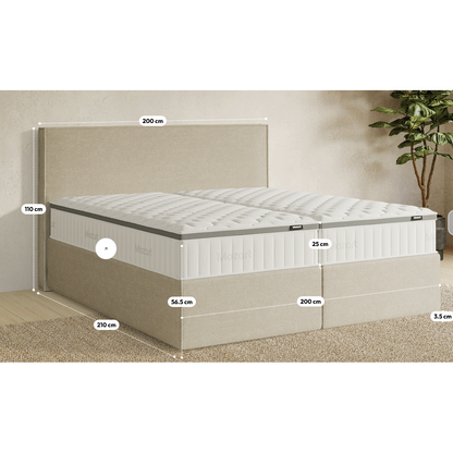 Premium Boxspringbett B-Ware in 200x200 cm ♻️