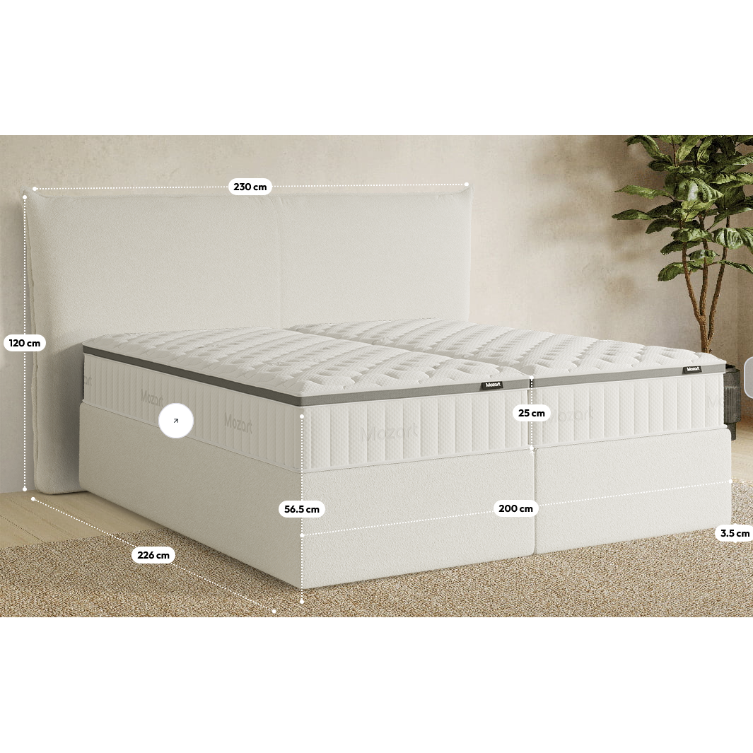 Premium Boxspringbett B-Ware in 200x200 cm ♻️