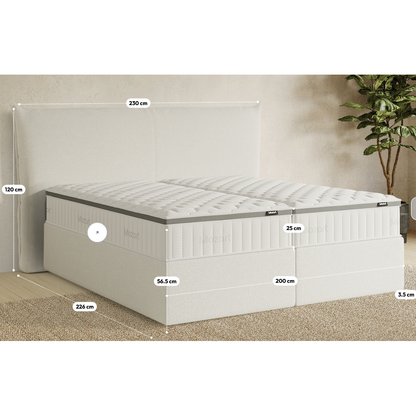 Premium Boxspringbett B-Ware in 200x200 cm ♻️