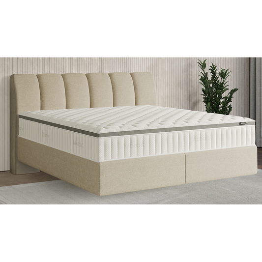 Premium Boxspringbett B-Ware in 200x220 cm ♻️