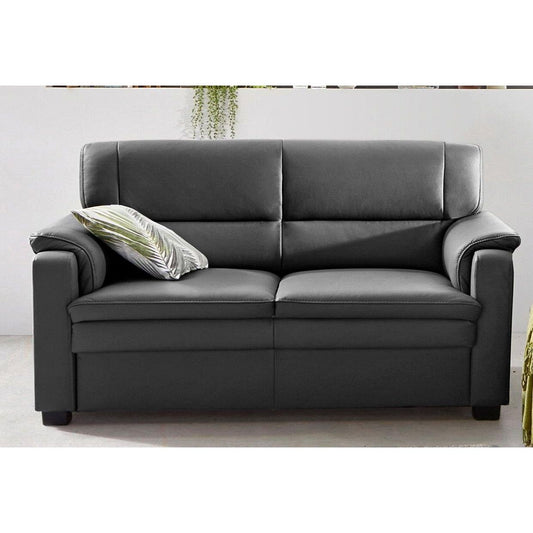Sofa 2-Sitzer Pisa in LEDER ♻️