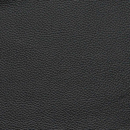 Sofa 2-Sitzer Pisa in LEDER ♻️