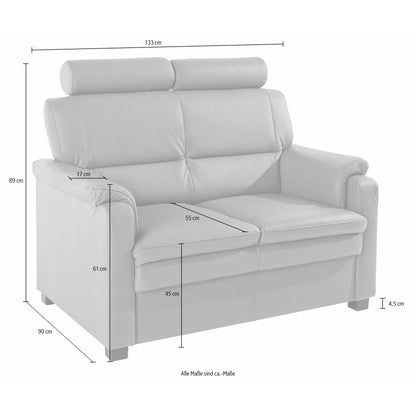 Sofa 2-Sitzer Pisa in LEDER ♻️